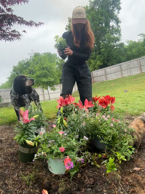 Farmer fox is back https://t.co/EyMeqquQuO