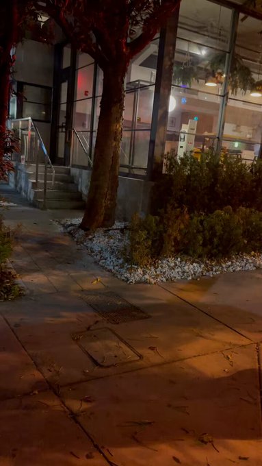 When you&rsquo;re trying take thirst trap photos and the fire alarm goes off https://t.co/e6DPhr2oDW<a href="/tag/mvsales"class="tags"><span>#mvsales</span></a>