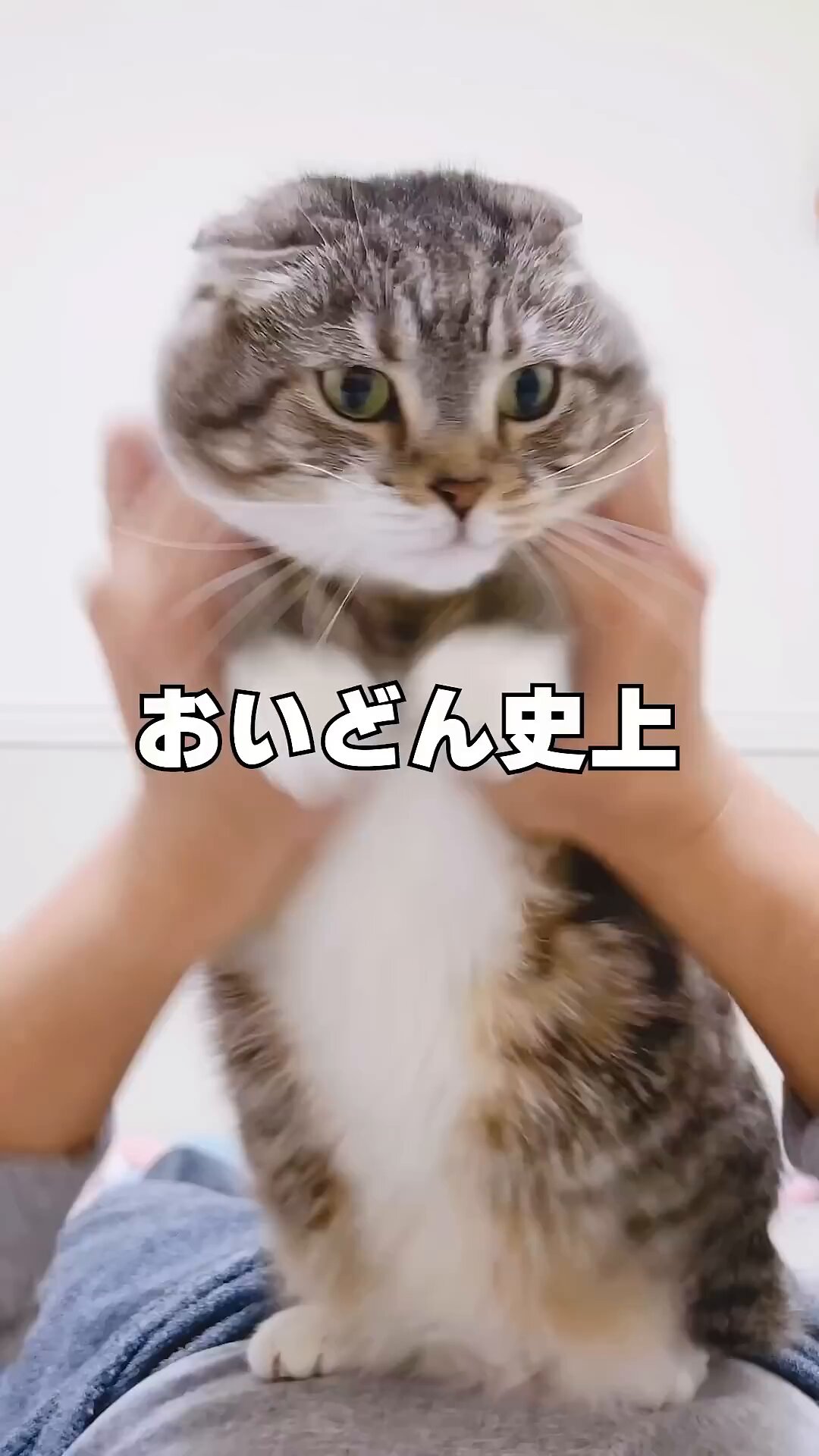 エルフィン給水器　本体新品　まとめ買い歓迎　新品中古同時購入→16000円！ エルフィン給水器 新品未使用 - メルカリ