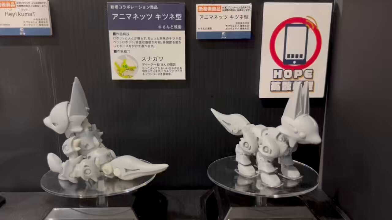 ドラネッツ 飛竜型 ガレージキット さんど模型 （株式会社トイズ
