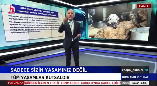 Yerleştirilmiş video