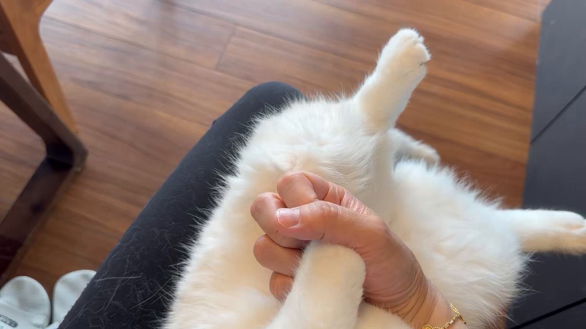 かき⭐︎2点おまとめ お絵かき用のショートカットデバイスは必須｜鹿角時計