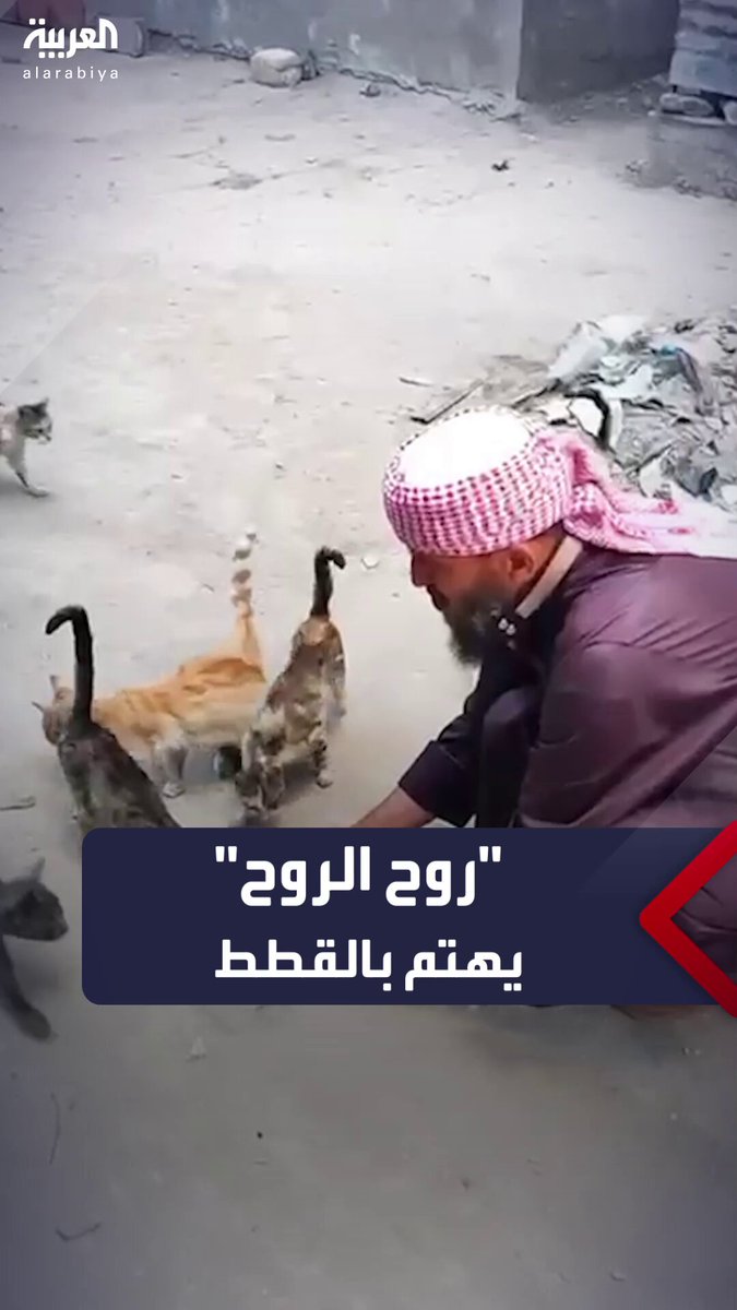 رغم النزوح والجوع.. الجد خالد نبهان الذي اشتهر بعبارة "روح الروح" في غزة يهتم بإطعام القطط الضالة في شوارع القطاع المنكوب #غزة 