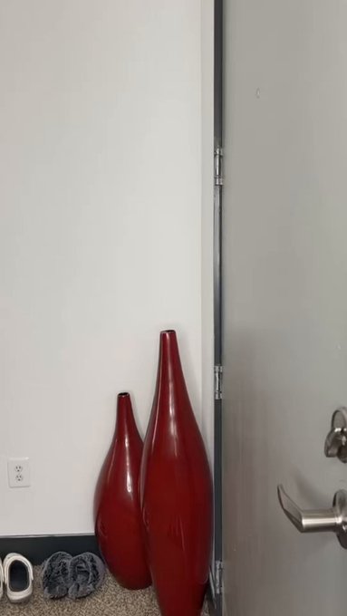 🤣🤣 https://t.co/z9flqqhTK4<a href="/tag/funny"class="tags"><span>#funny</span></a><a href="/tag/true"class="tags"><span>#true</span></a><a href="/tag/silly"class="tags"><span>#silly</span></a><a href="/tag/dentist"class="tags"><span>#dentist</span></a>