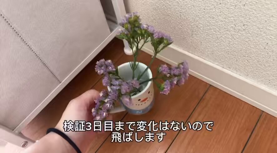 Video oleh @kaworu_0331