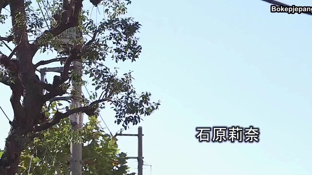 Twitter Image