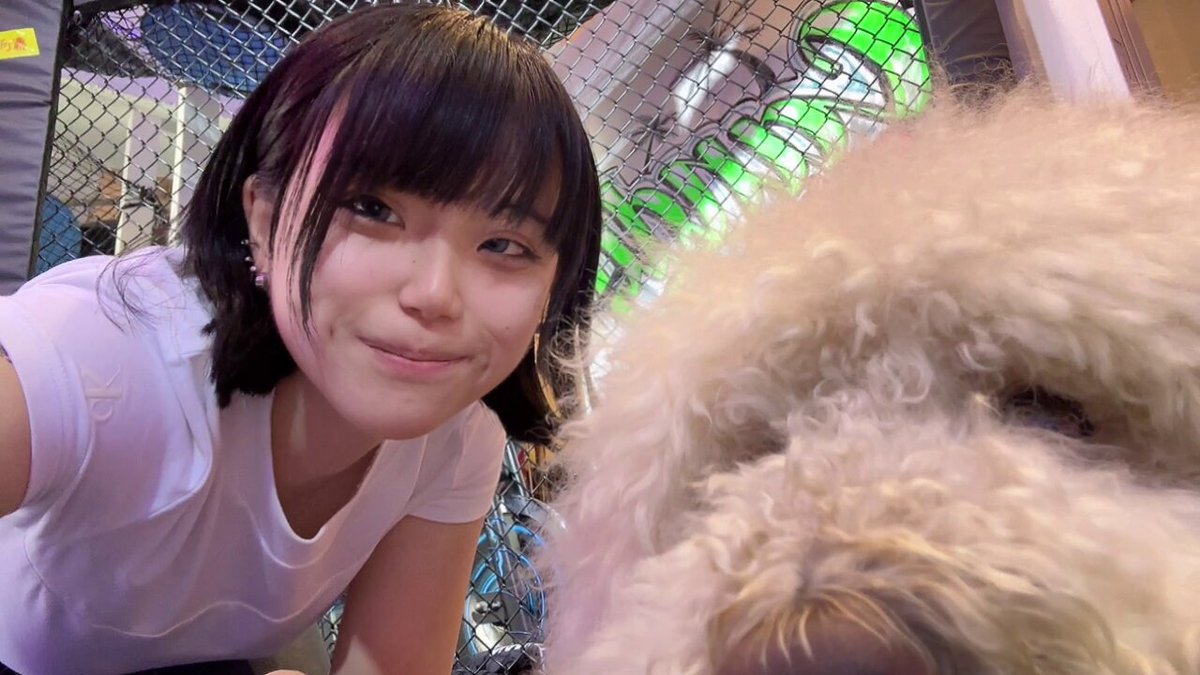 Video oleh @kaworu_0331