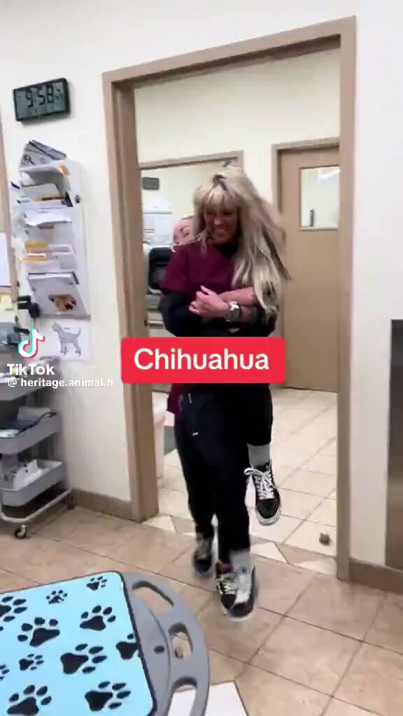 dyl - just bookmarked Hunter Biden porn