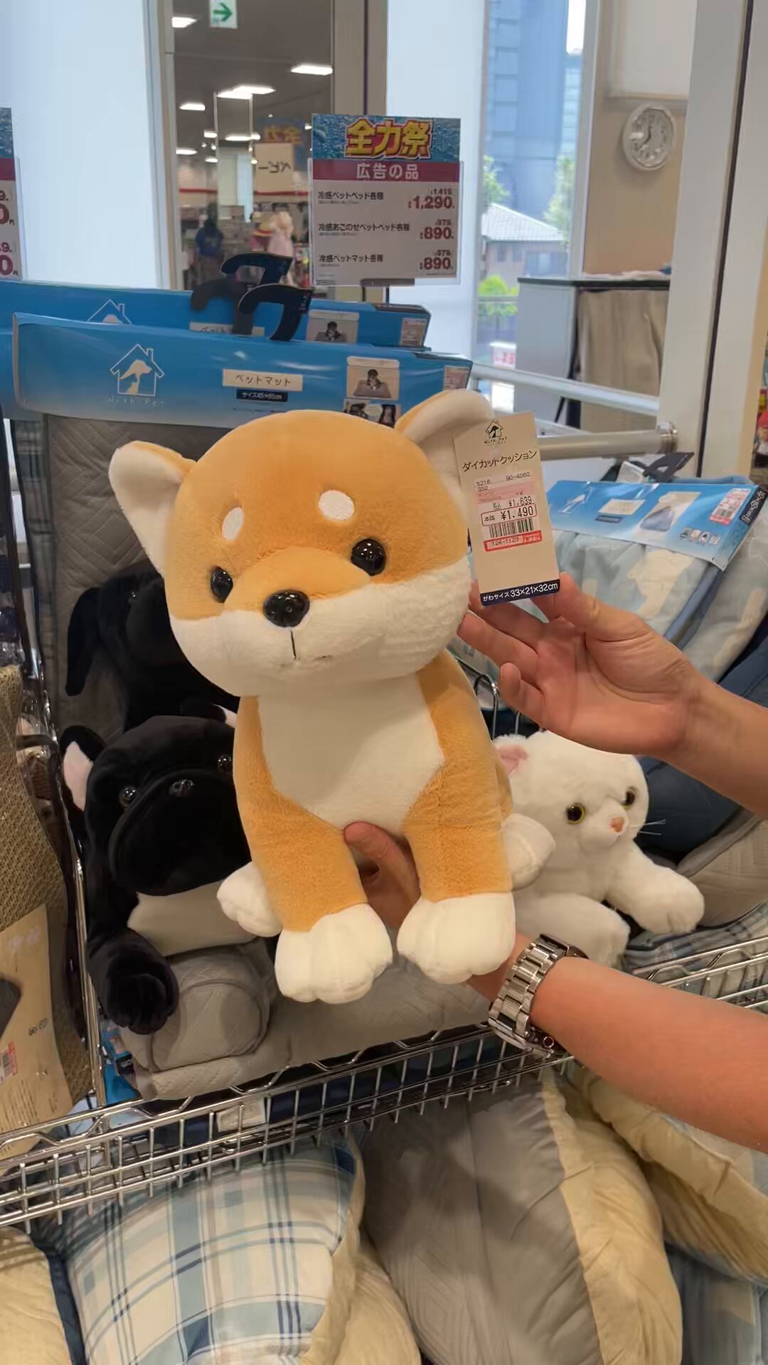 ファッションセンターしまむら on X: 