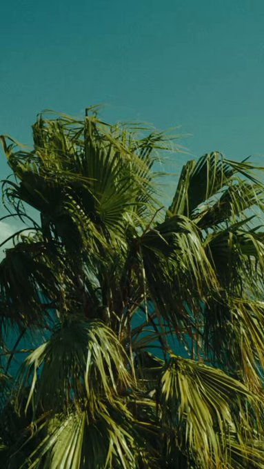 CALLEJERA 4 DE JULIO https://t.co/A82zdaP2in