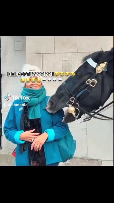 Why are the videos of the kings guard horses biting people so funny 😂 https://t.co/OWVuMHzT8T<a href="/tag/uber"class="tags"><span>#uber</span></a>