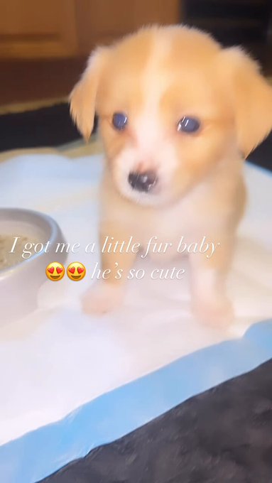 I&rsquo;m a mother !!! https://t.co/SIq8F5xuDu<a href="/tag/teamjt"class="tags"><span>#teamjt</span></a>