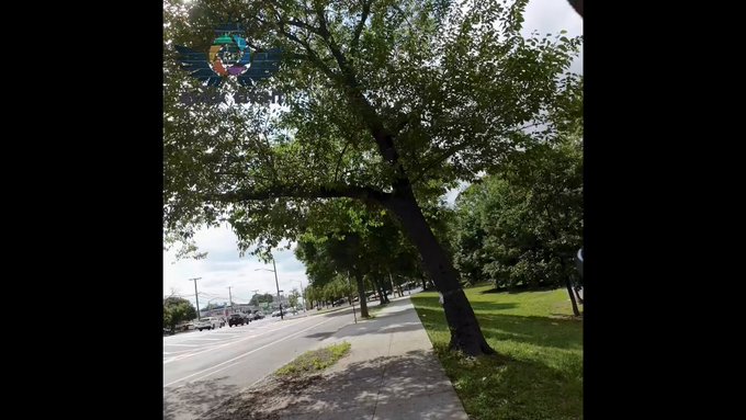 Sutphin Blvd. Queens, NYC (Hyperlapse)  #BlackFlightNY   #NYC #videography #BeautyInNature   https://t<a href="/tag/blackflightny"class="tags">#BlackFlightNY</a><a href="/tag/nyc"class="tags"><span>#nyc</span></a><a href="/tag/beautyinnature"class="tags"><span>#beautyinnature</span></a><a href="/tag/videography"class="tags"><span>#videography</span></a>