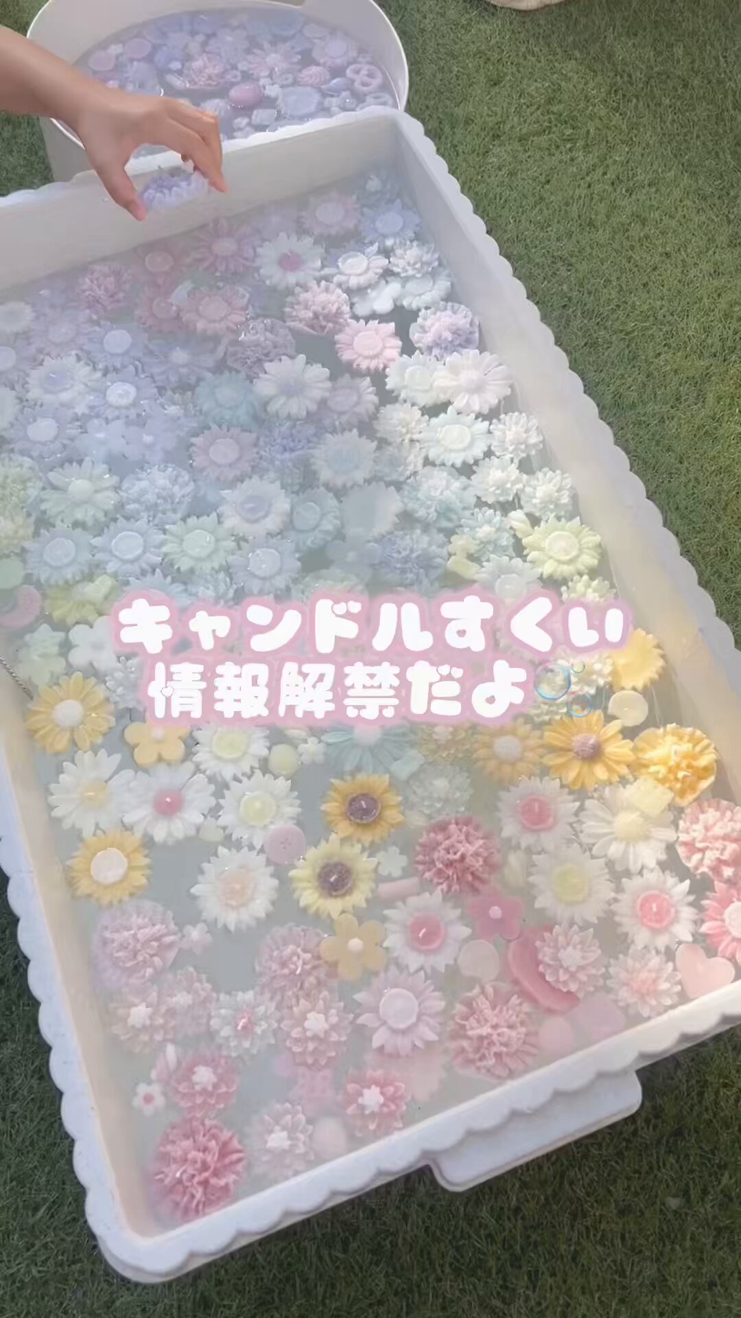 Highlights by nyam candle🕯にゃむきゃん (@nyam_candle) / X