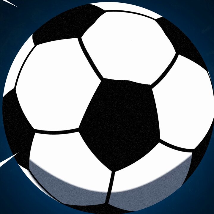 Vファーレン 公式球 2015年頃？ サインボール サッカー Jリーグ 第25節