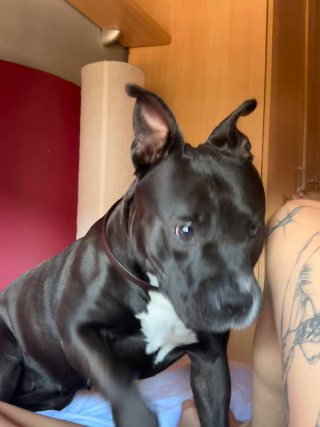 Katy Sancheskii's exclusive content awaits