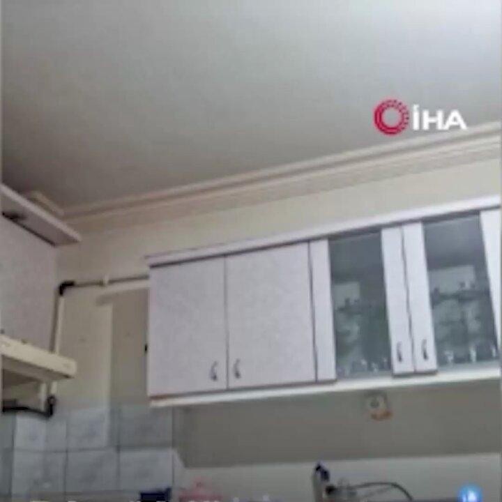 Jinsiy aloqa Azarbenzhanka