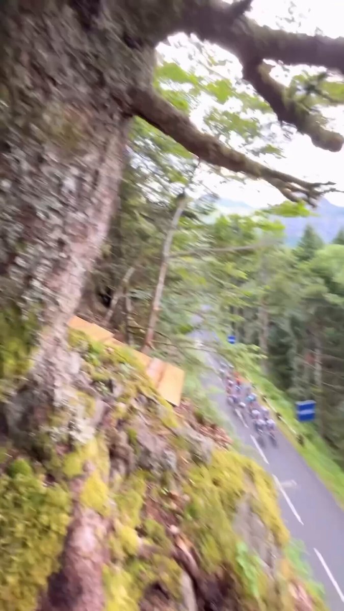 ƱƷ (@EG6_CatEye) / Posts / X