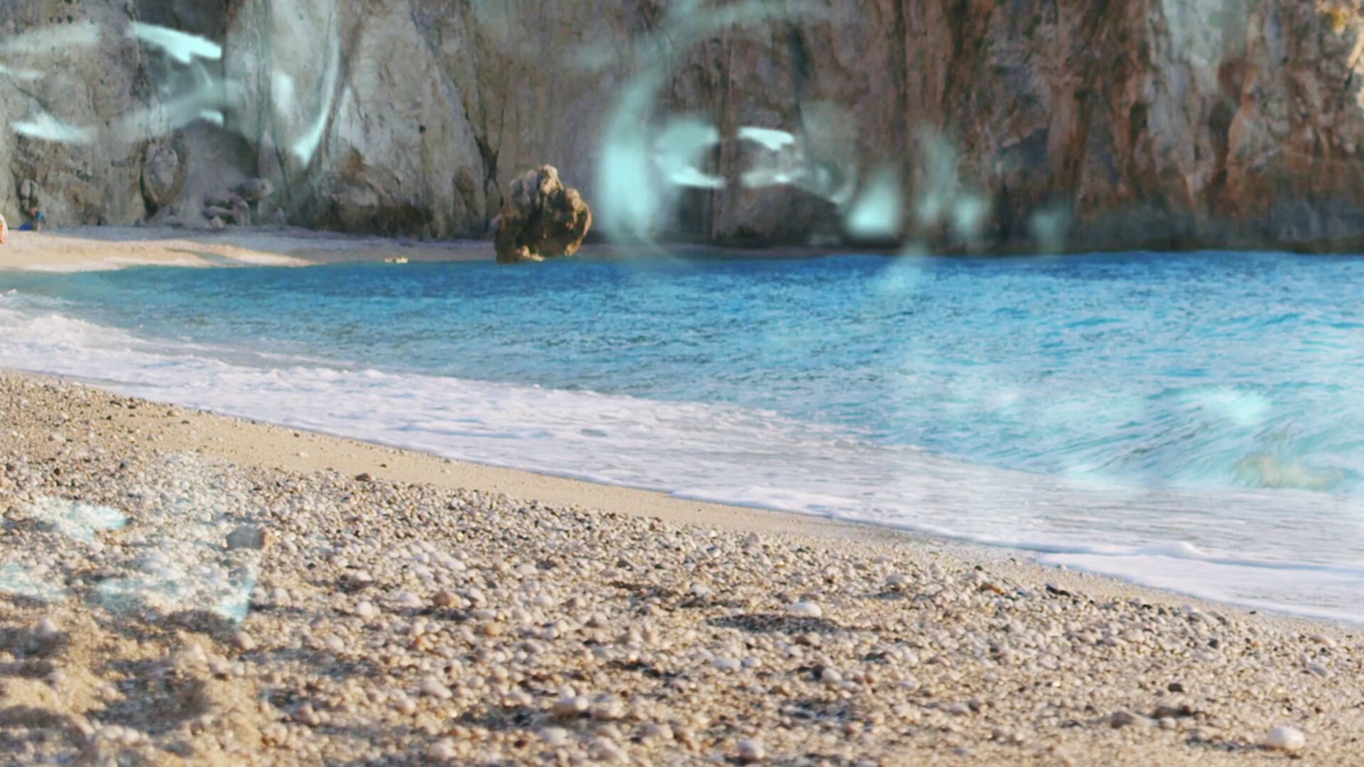 [情報] 8月社群日：「球球海獅」