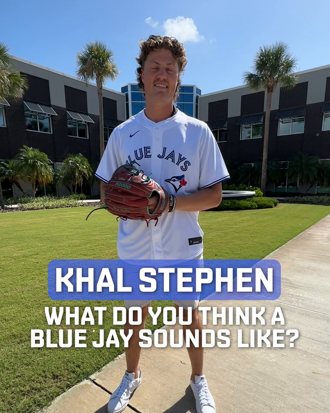 What Do Blue Jays Sound Like: Nature's Melody Revealed
