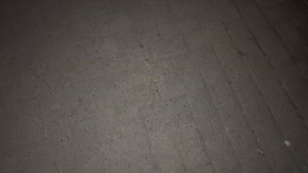 國小女生口自慰    