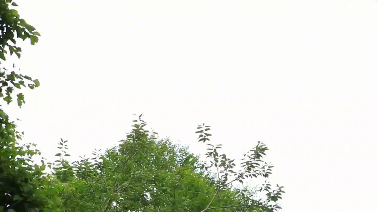 Twitter Image