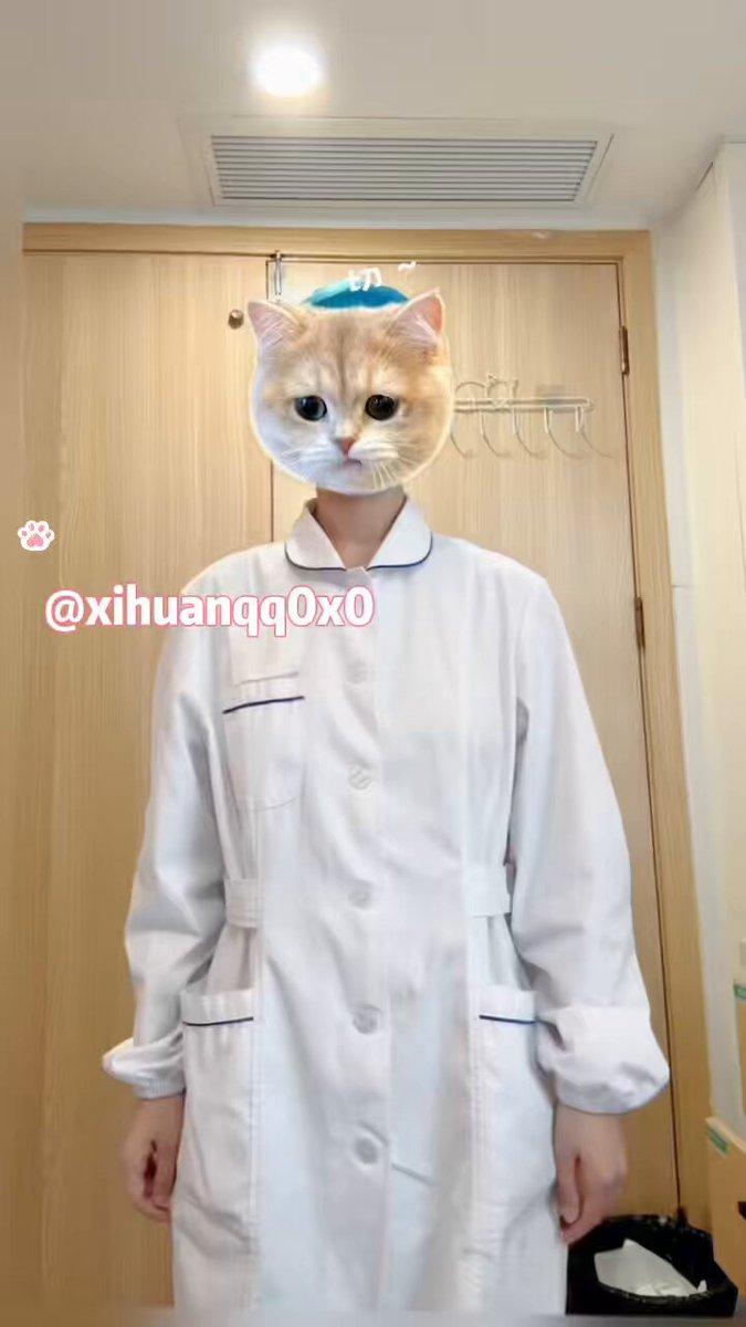 媒体预览