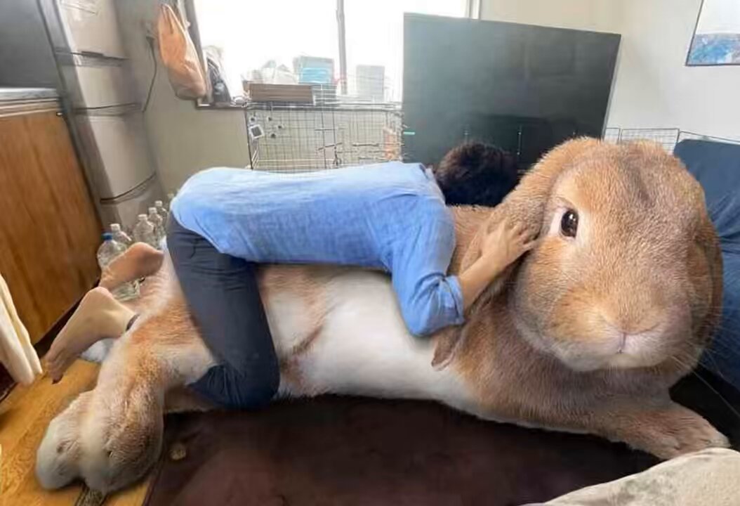 もっちゃん（TAKUMI） (@koedo_tyan) / Posts / X