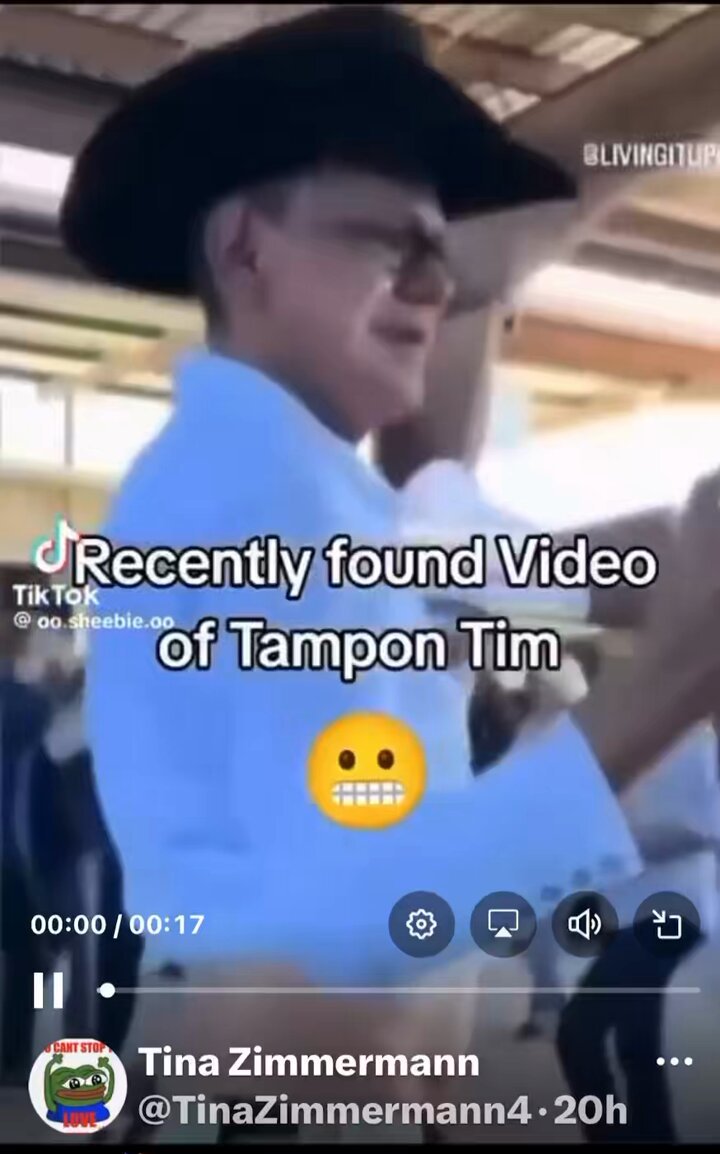 Embedded video