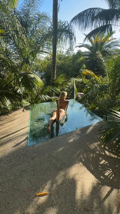 In the jungle 🌴🌞 https://t.co/IxC5aAmCiU<a href="/tag/debate"class="tags"><span>&#35;debate</span></a><a href="/tag/trump"class="tags"><span>&#35;trump</span></a>