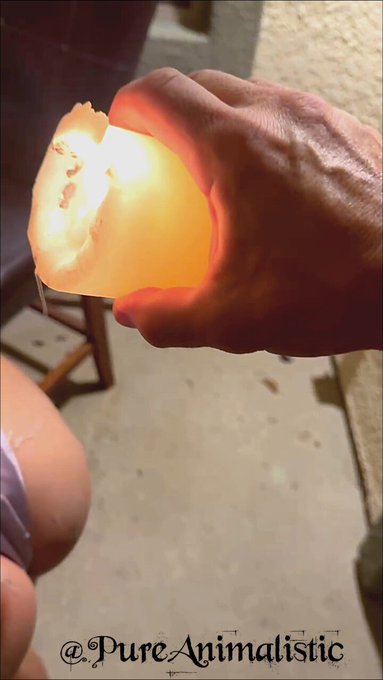 Pure Animalistic’s pics and videos