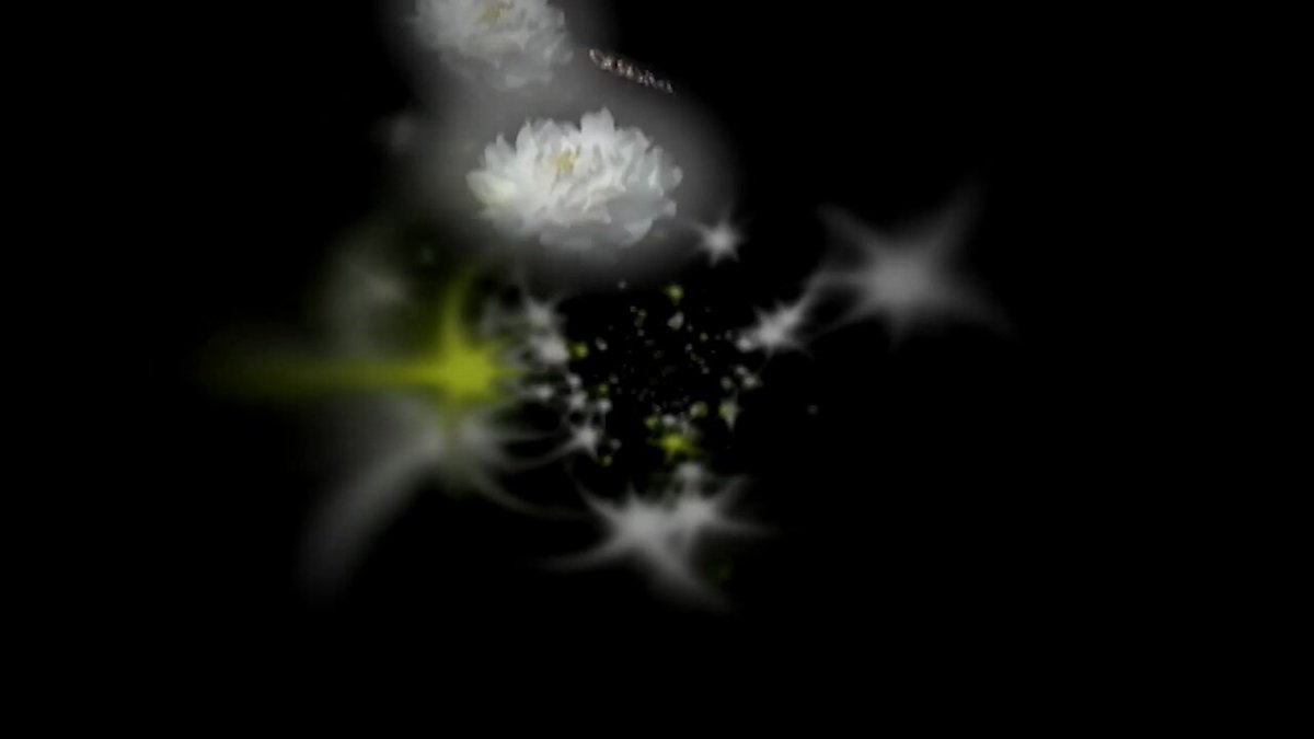 Twitter Image