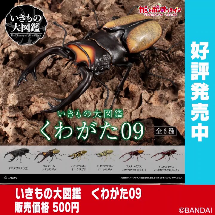 公式】バンダイ ガシャポン on X: 公式】バンダイ ガシャポン on X: