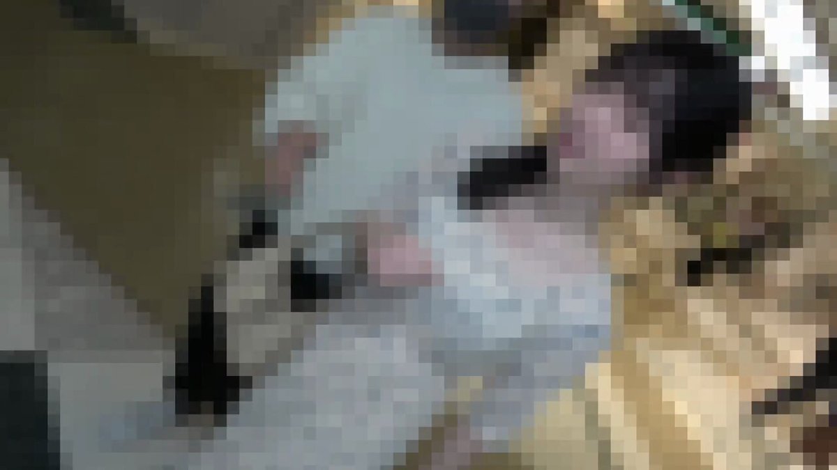 Twitter Image