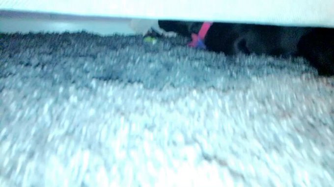 1 pic. So sad guys were coming up on two years without God, Dog. I’m gonna go to his gravesite today