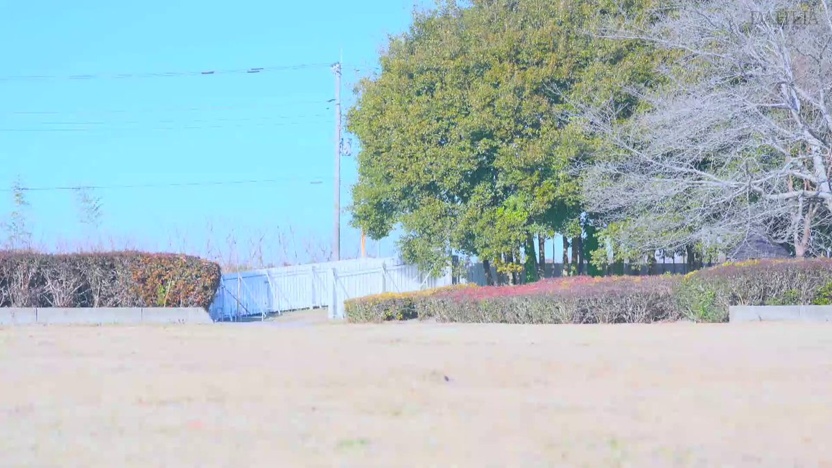 Video oleh @javbb_info