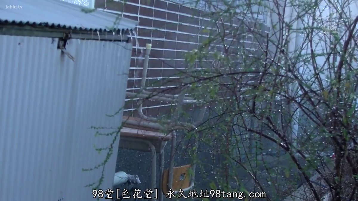 Twitter Image