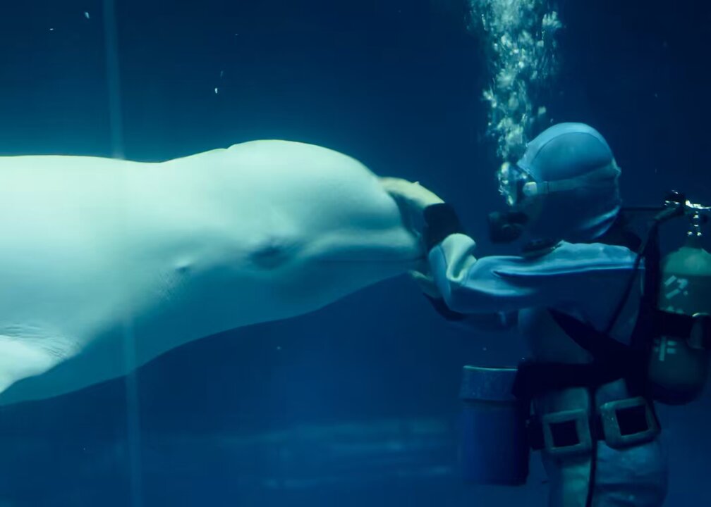 𝔗𝔞̀𝔦 𝔠𝔥𝔢́𝔫𝔤 (@10sentiments) / X