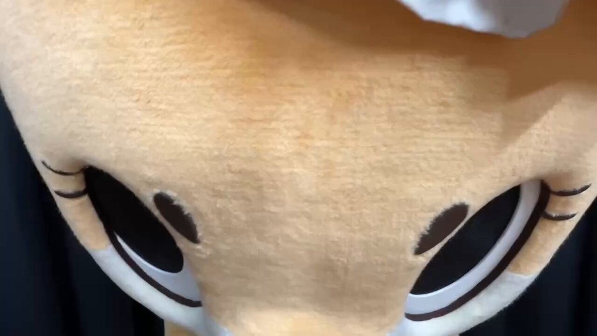 ちぃたん☆／Chiitan (@chiitan7407) / X