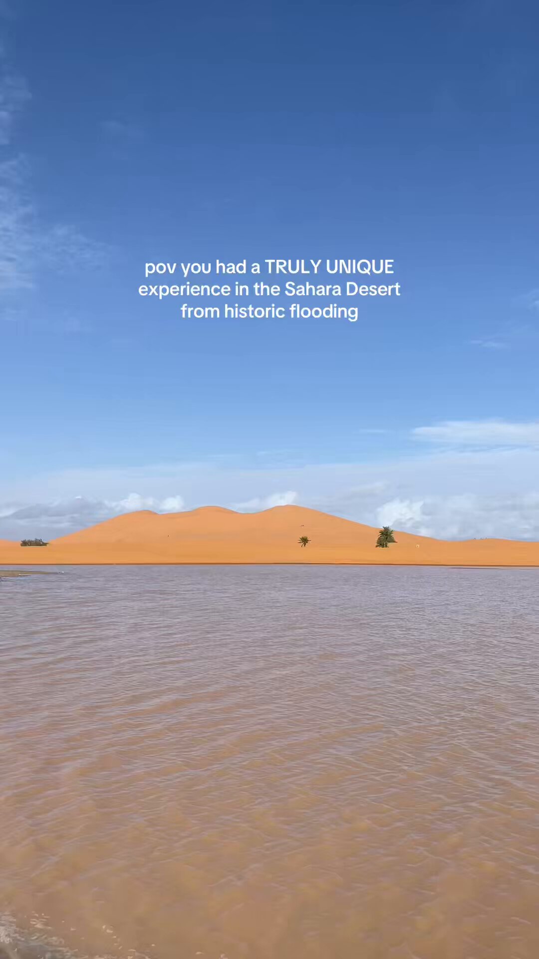 [問卦] 連撒哈拉沙漠都淹水  暖化回不去了？