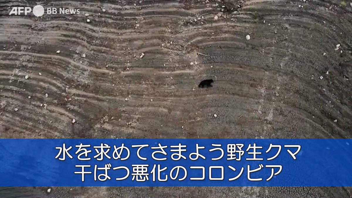 Twitter Image