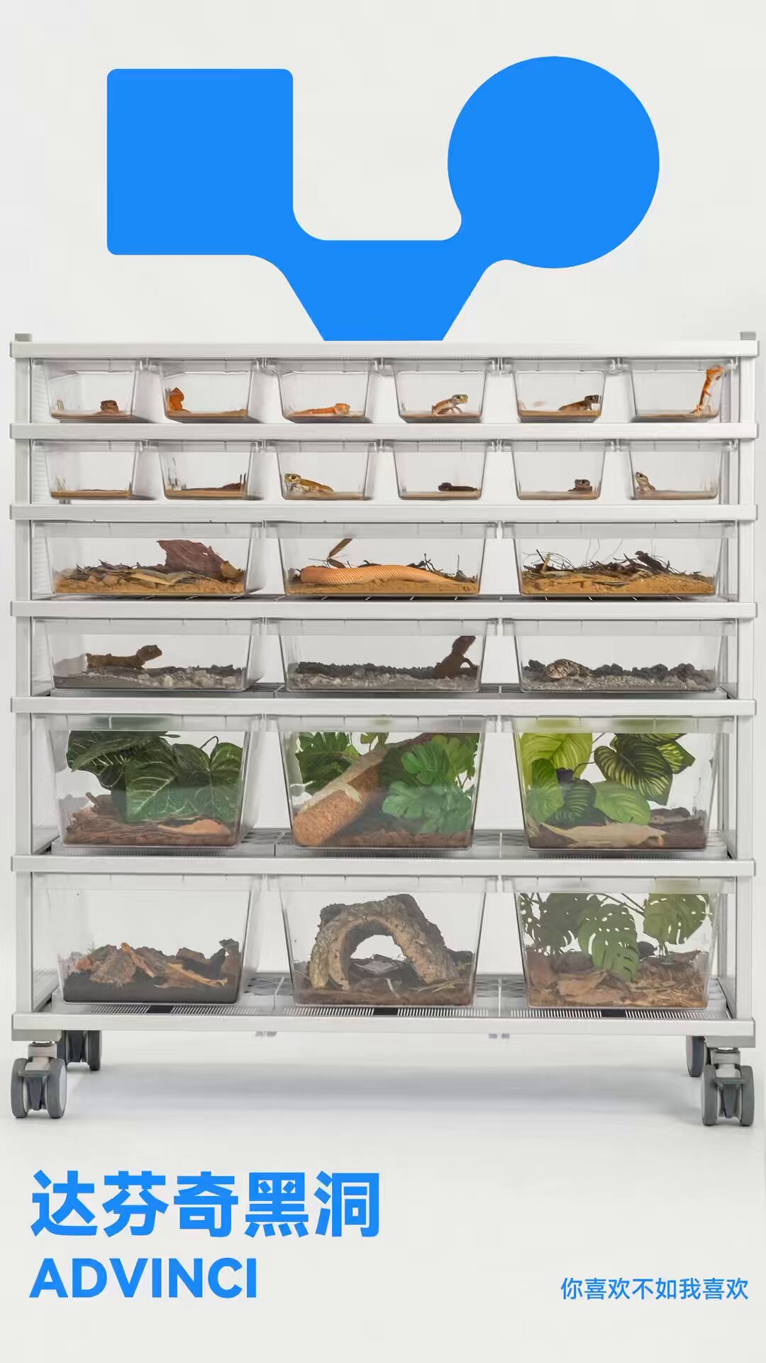 ブリーダーラック SHN REPTILES 2.0💮8月10日BO on X: 