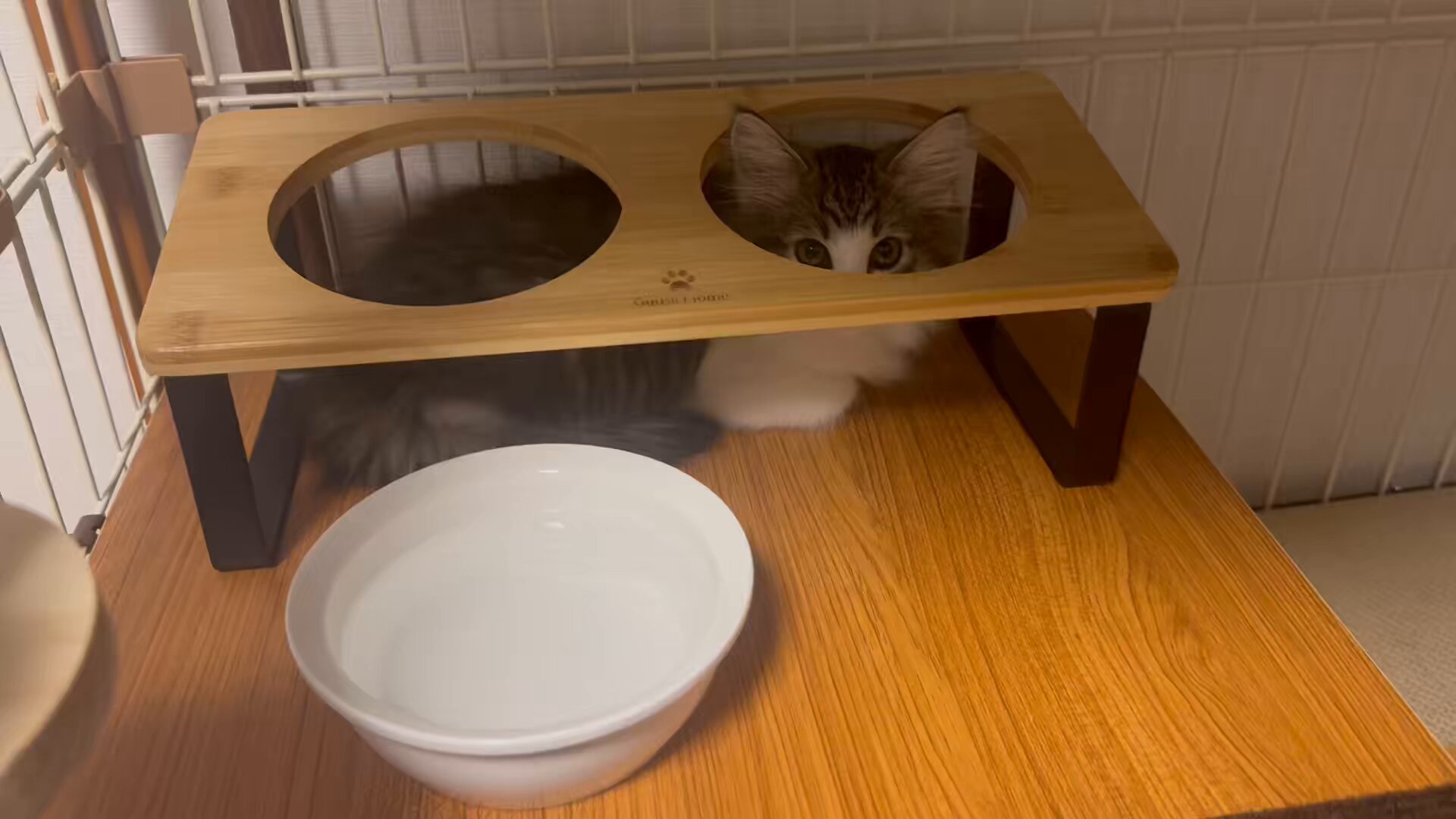 わいてるず ぶるーく ふくおか Amazon.co.jp: ワイテルズ Broooock 福岡 3点 : おもちゃ