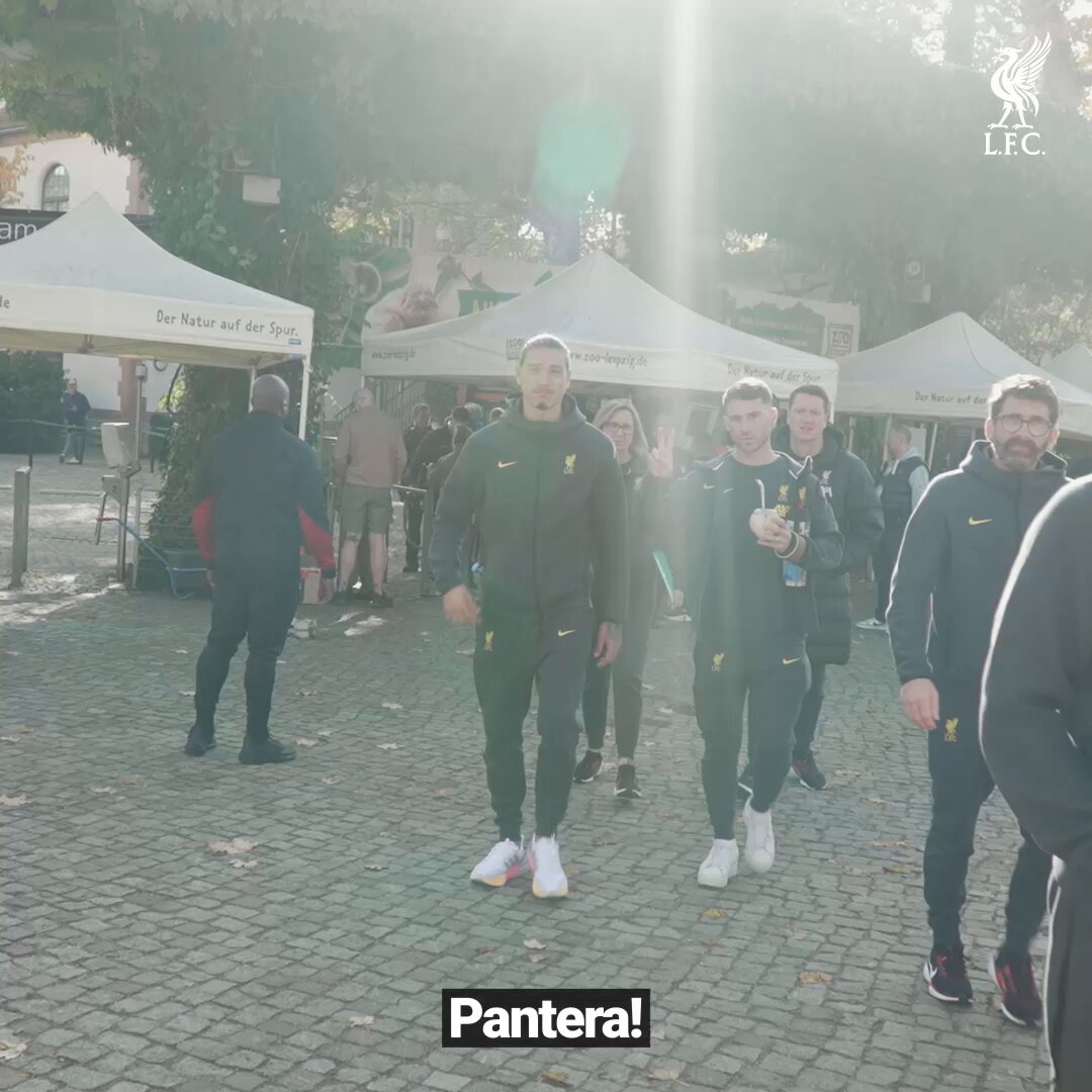 @LFC's video Tweet