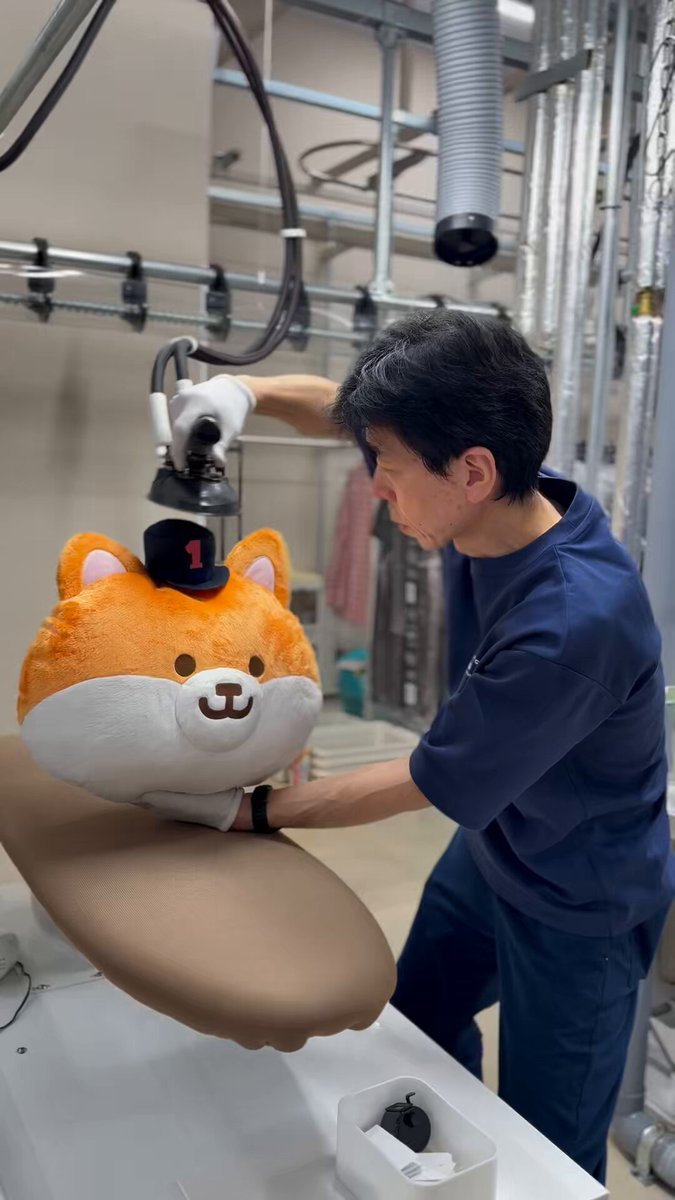 𝕄𝕀𝕆 (@mio_111537) / Posts / X