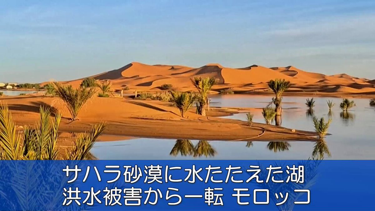 超貴重品　モロッコ砂漠で採取　現在輸出禁止です。 -zhNSQCkIXz53DLv.jpg