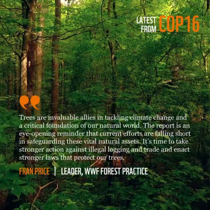 WWF International media team on X: &ldquo;The new @IUCN Global Tree 