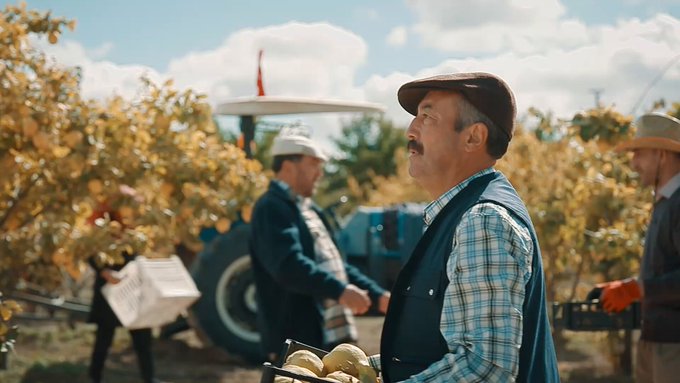 Yerleştirilmiş video