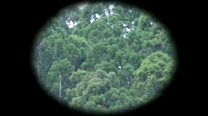 Video oleh @hangoutiv