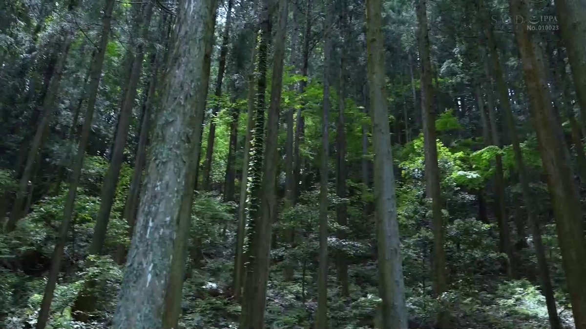 Video oleh @injav_info